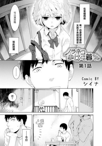 noraneko shoujo to no kurashikata ch 1 cover