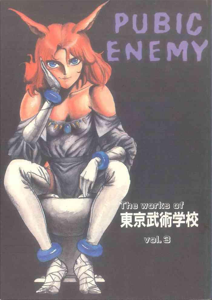 pubic enemy vol 3 cover