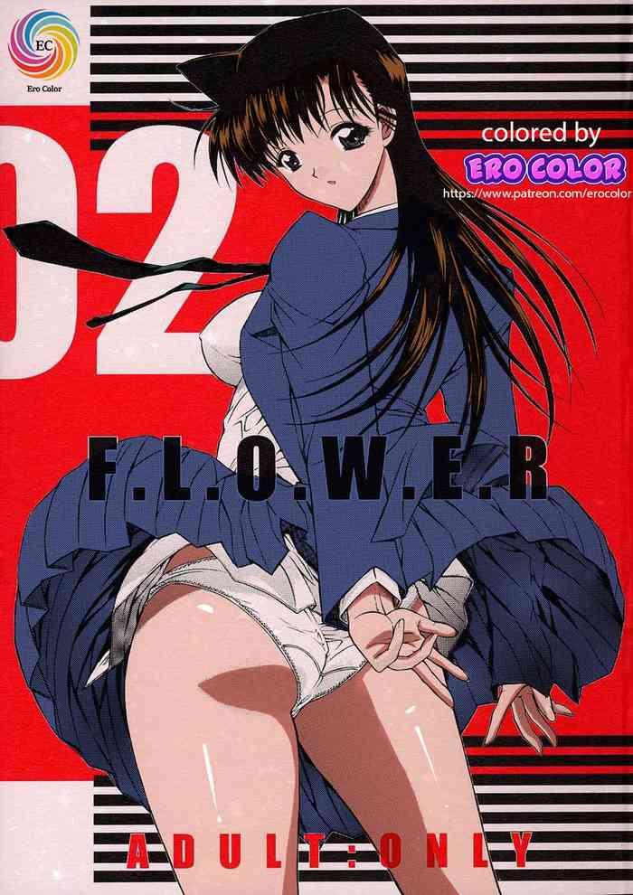 f l o w e r vol 02 cover