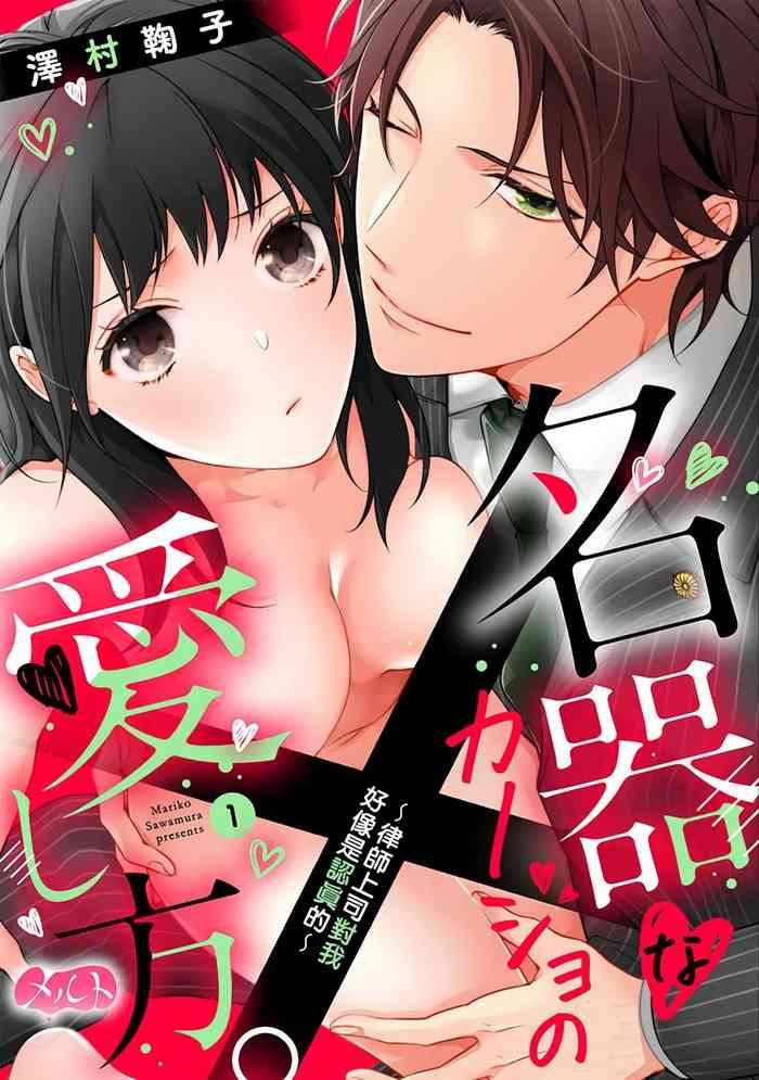 sawamura mariko meikina kanojo no aishikata bengoshi joushi ga watashi ni honki ni naru soudesu 01 04 01 04 cover