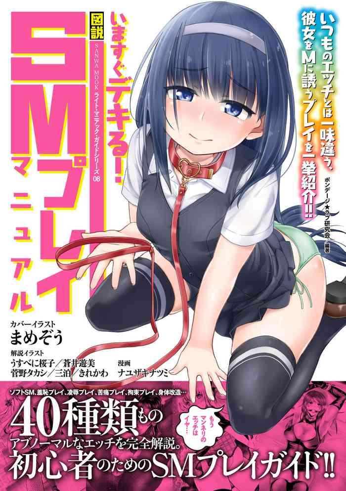 sm cover 1