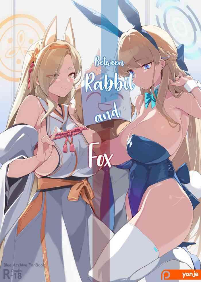 usagi to kitsune no aida de between rabbit and fox cover