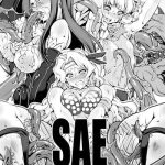 sae cover